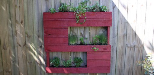 Planter made from wood pallet mounted on fence.