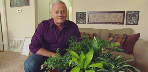Danny Lipford with houseplants that can improve indoor air quality in your home.