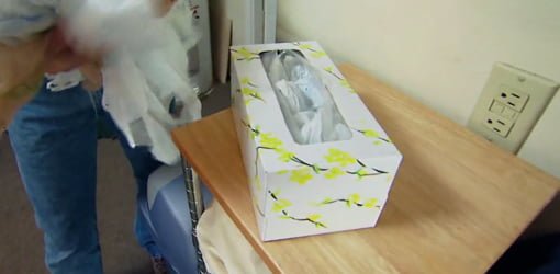 Plastic shopping bags stored in an empty tissue box.