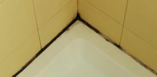 Bathroom mildew in corner