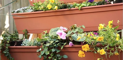 Small-space gardening