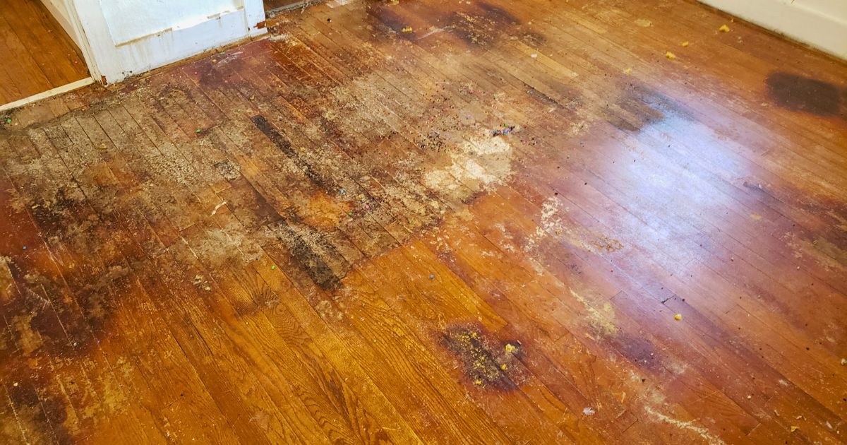 https://todayshomeowner.com/wp-content/uploads/2016/05/Wood-Floor-Water-Damage.jpg