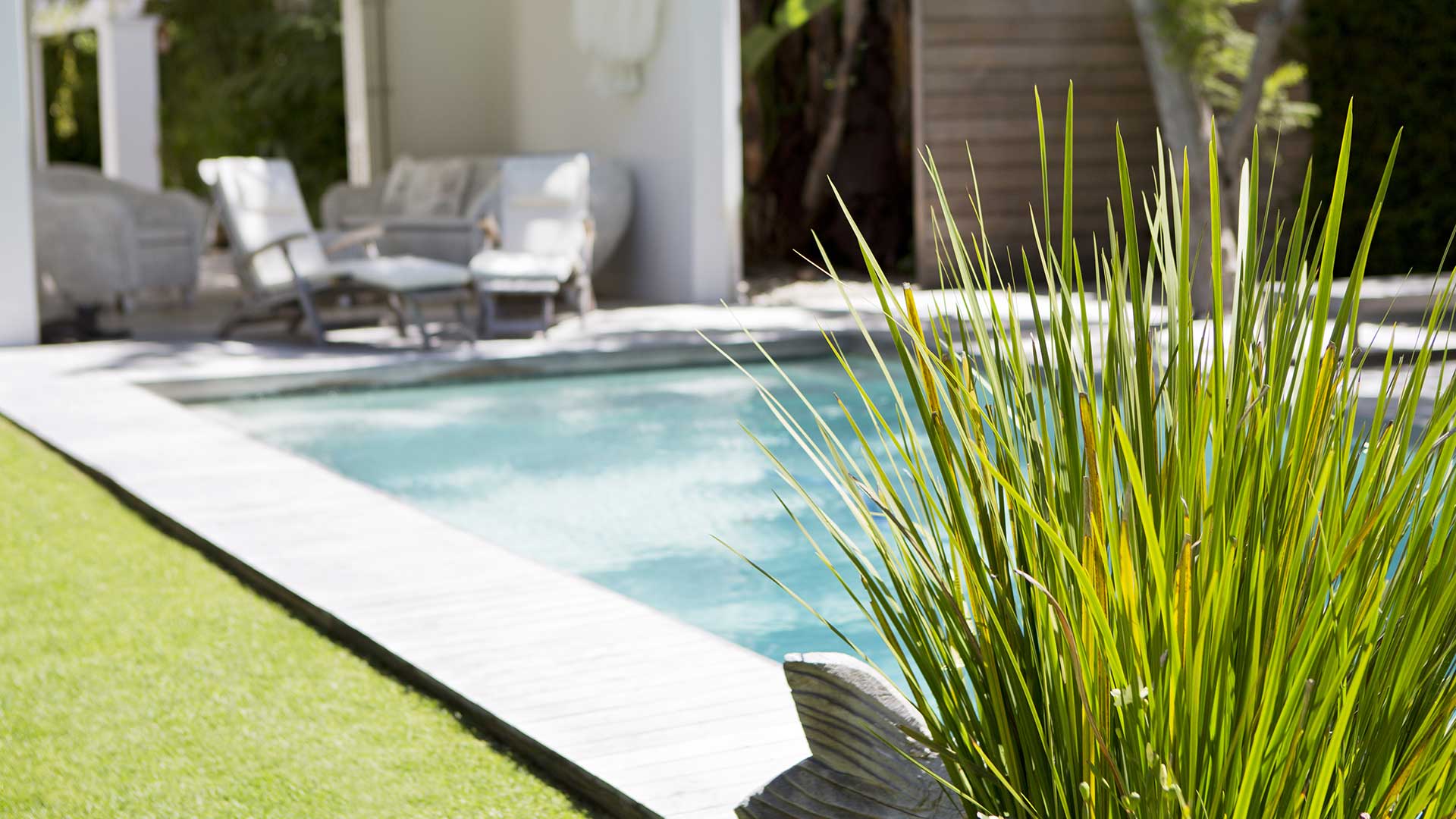 5 Pool Landscaping Ideas On A Budget, Landscaping Ideas Around Pool
