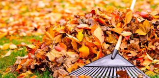 Mowing leaves in the autumn