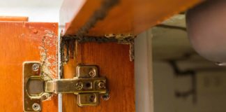 Signs of termites, damage inside a cabinet door
