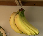 Kitchen Banana Hook