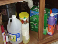 Household chemicals under sink