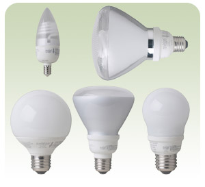 A variety of CFL bulbs
