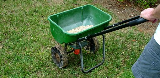 Fertilizer spreader applying fertilizer to lawn.