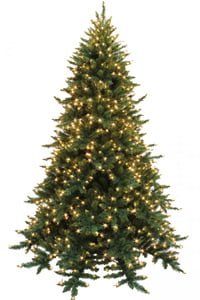Telluride spruce Christmas tree