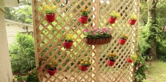 Privacy wall made of lattice and hanging planters