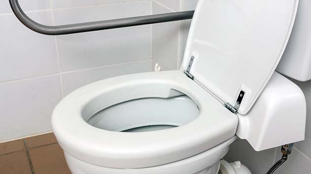 Wheelchair accessible toilet with a support rail on the side