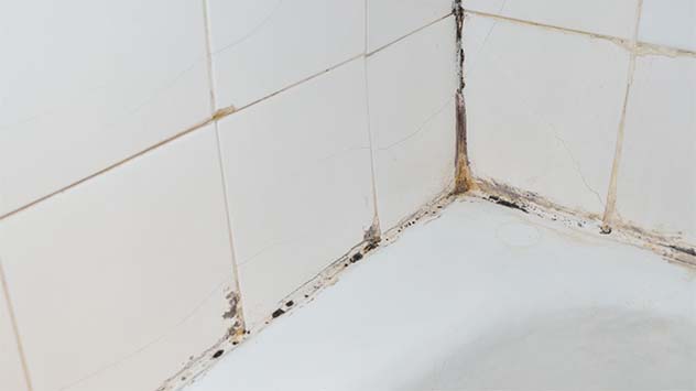 Moldy shower with missing grout