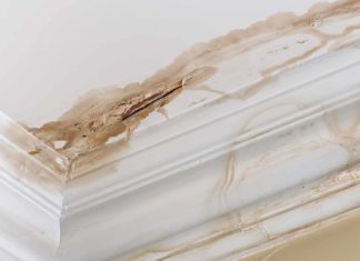 Ceiling with water stains just above the crown molding
