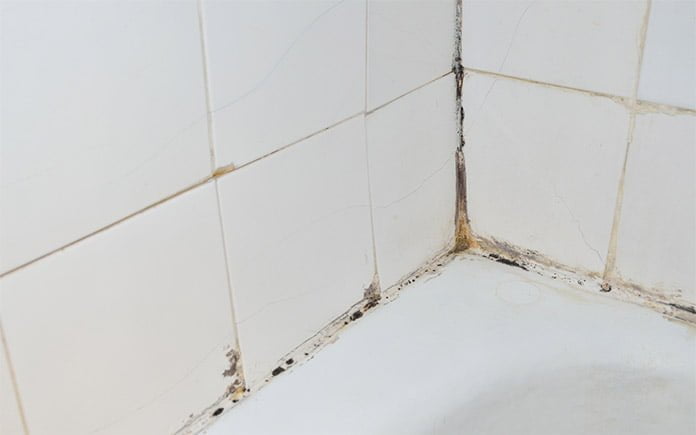 Mold on the tiles of a bathtub surround