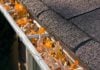 Gutters filled with fallen leaves