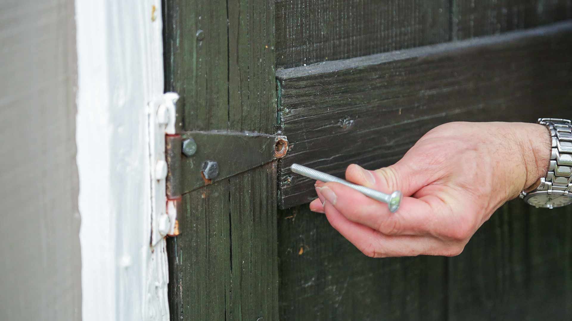 Carriage bolt securing shed door