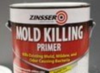 Can of Zinsser Mold Killing Primer.