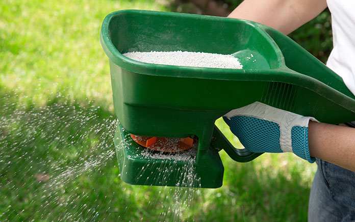 Person holding a fertilizer spreader over a green lawn