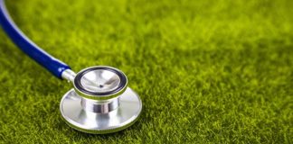 Lawn Doctor Review: Stethoscope on green grass