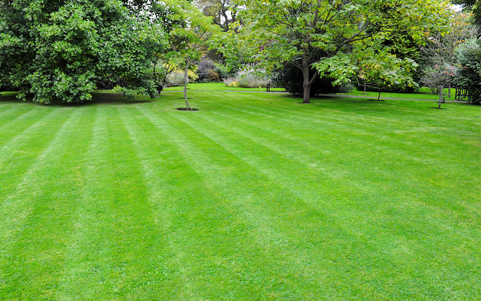 Well manicured green lawn with mowing lines