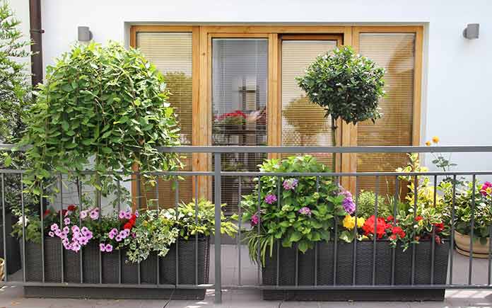 Small garden on balcony with light walls