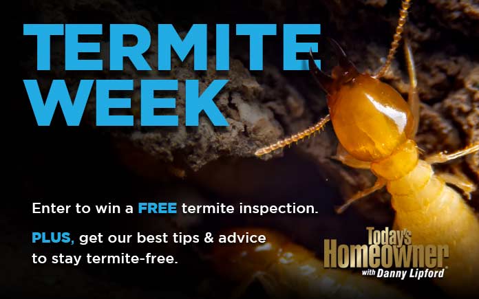 Termite Week