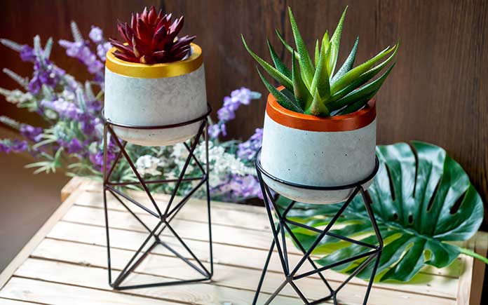 Painted and sealed concrete planters set in geometric wire plant stands