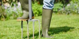 Woman with rubber boots pressing down on garden fork to aerate lawn