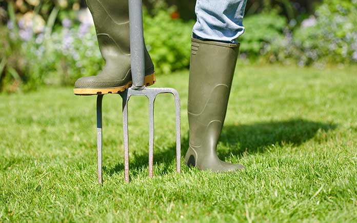 Woman with rubber boots pressing down on garden fork to aerate lawn