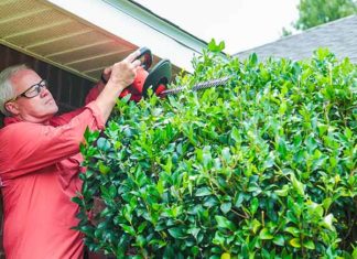 Danny Lipford trims trees and bushes while wearing safety glasses