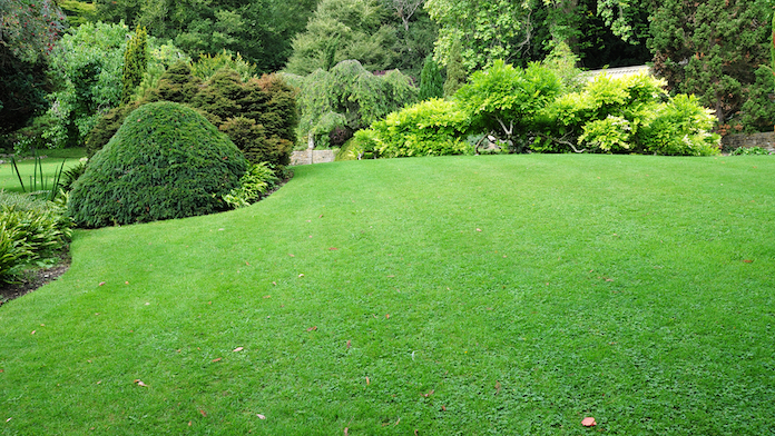 Peaceful Garden with a Freshly Mown Lawn