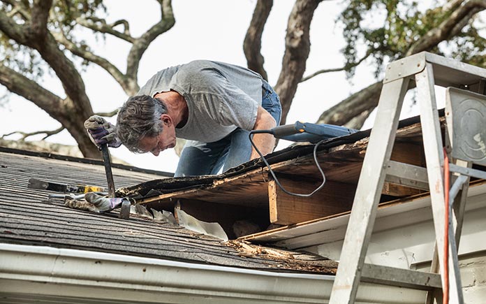 Homme avec des lunettes inspecte les dommages causés par la moisissure sur le platelage du toit