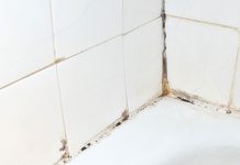 Mold damage on a bathtub tile surround