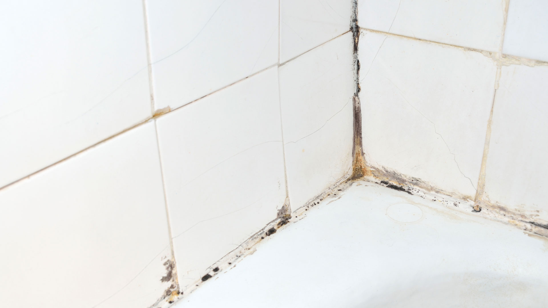 Mold Removal When To Diy The Job Or, Bathtub Mildew Removal