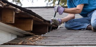 Man works on mold-damaged roof