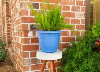 Plant stand made of three wood dowels and Quikrete concrete, outside, beside a brick home