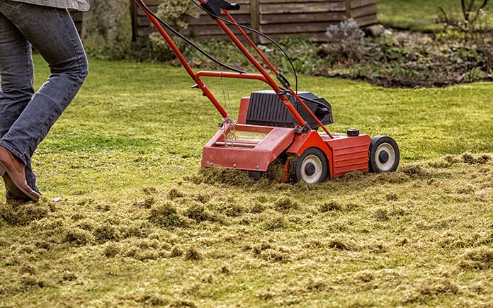 How to Dethatch a Lawn So It Thrives | Today's Homeowner