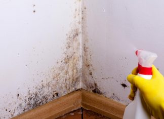 Cleaning black mold off a bathroom wall