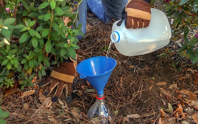 Pouring water into a funnel for a DIY drip irrigation system
