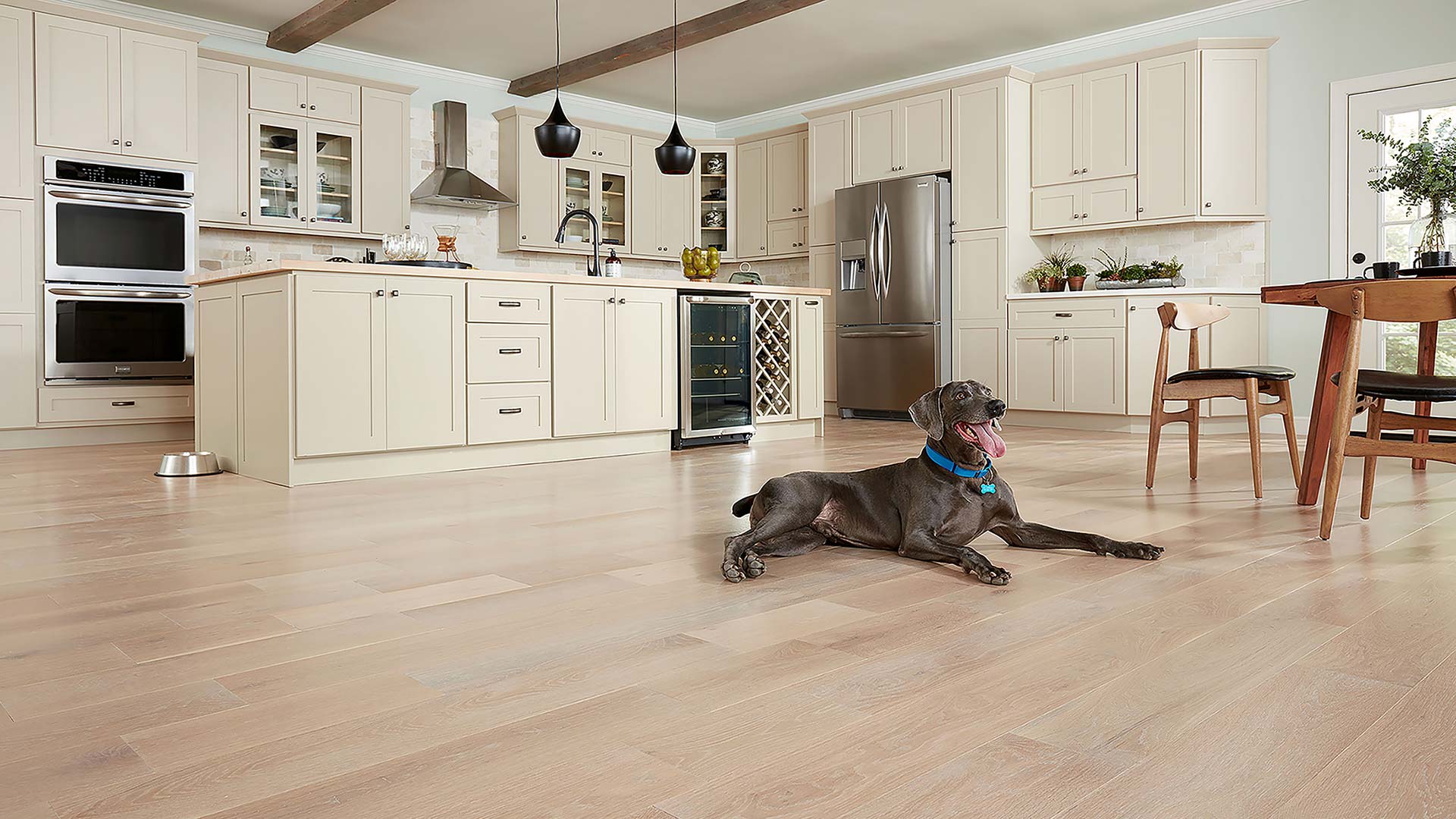 Dog lying down, resting on a beautiful kitchen wood floor