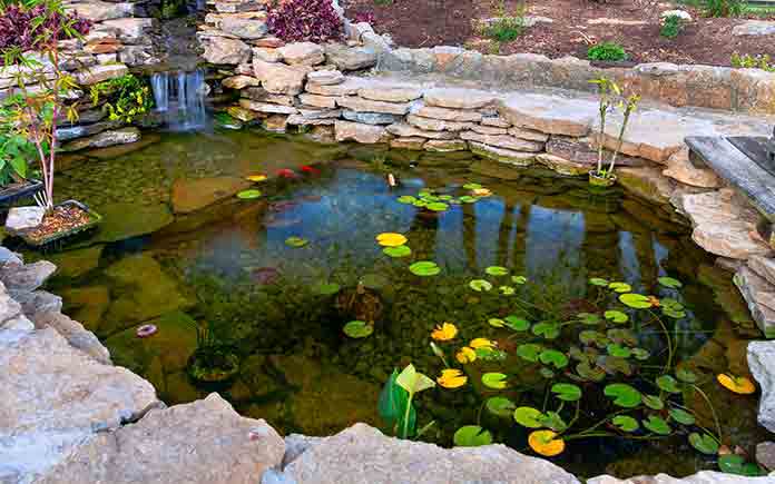 Man-made pond in a beautiful garden
