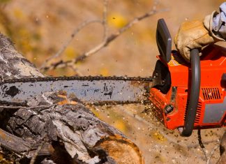 Sawing wood outside with a chainsaw