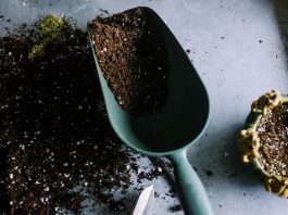 Soil on a table next to a shovel and a pot