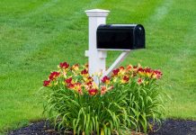 Flowers around a mailbox in a front yard