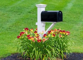 Flowers around a mailbox in a front yard