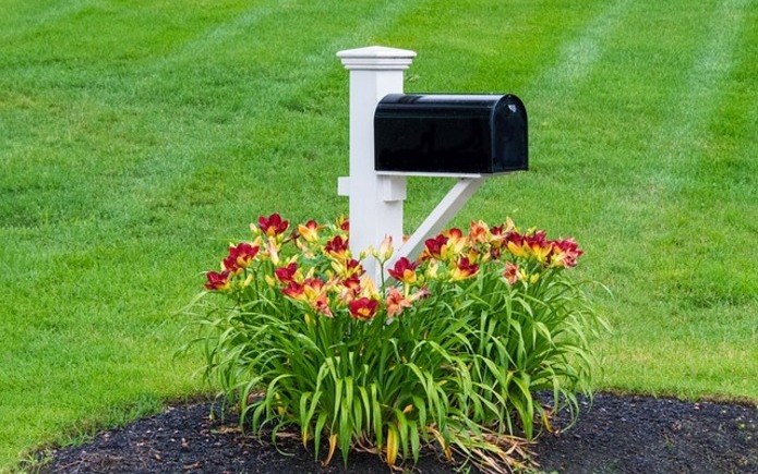 Mailbox with flowers surrounding the post