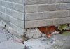 A grey brick foundation of a home is crumbling and needs repair.