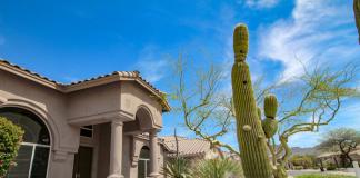 A home in Arizona with large cacti in the front yard.