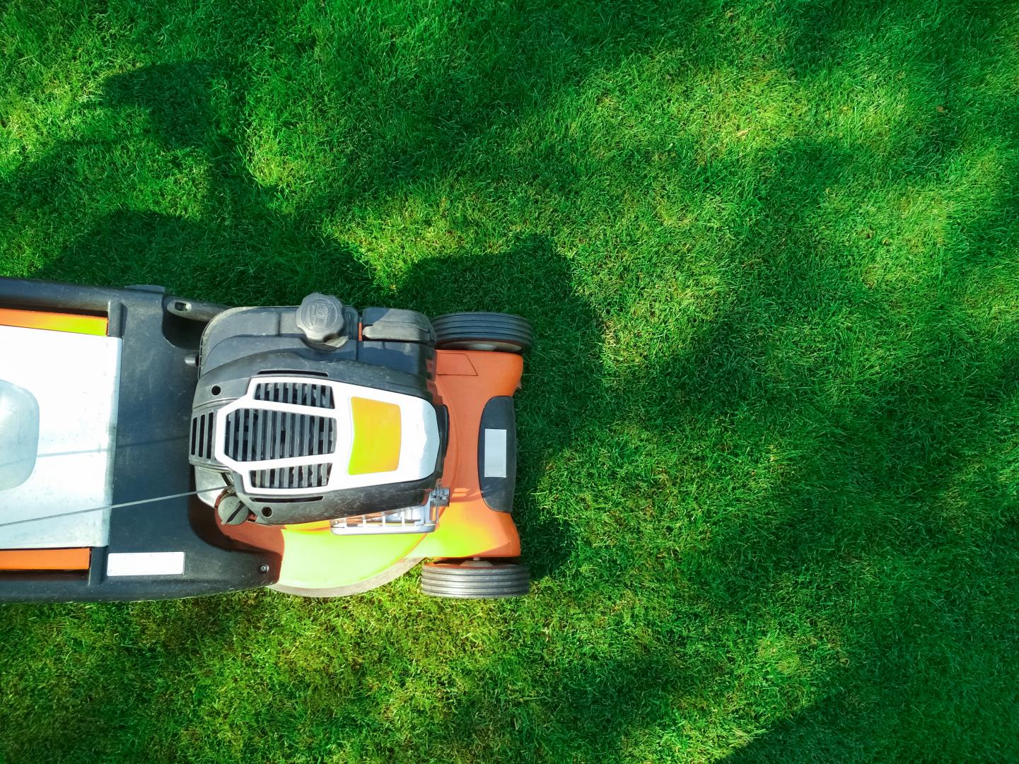 An orange lawn mower trims green grass. 